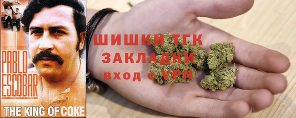 экстази Арсеньев