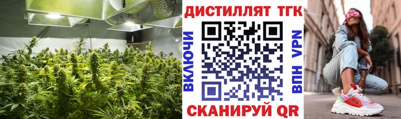 где купить наркотик  Арск  Дистиллят ТГК Wax 